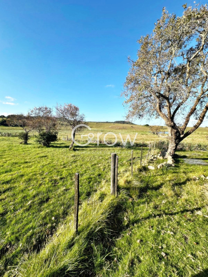 Chacra ID.2872 - Pueblo Edén. 7.6 Hectáreas. 