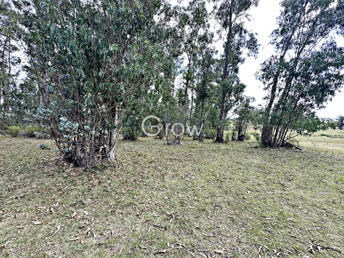 Chacra ID.1254 - Hermosa chacra a solo minutos de Punta del Este