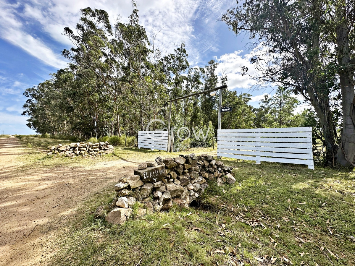 Chacra ID.1254 - Hermosa chacra a solo minutos de Punta del Este