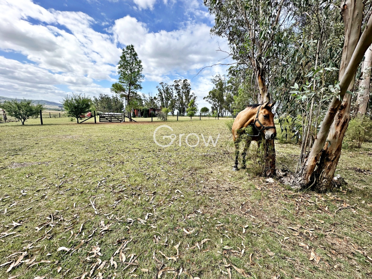 Chacra ID.1254 - Hermosa chacra a solo minutos de Punta del Este