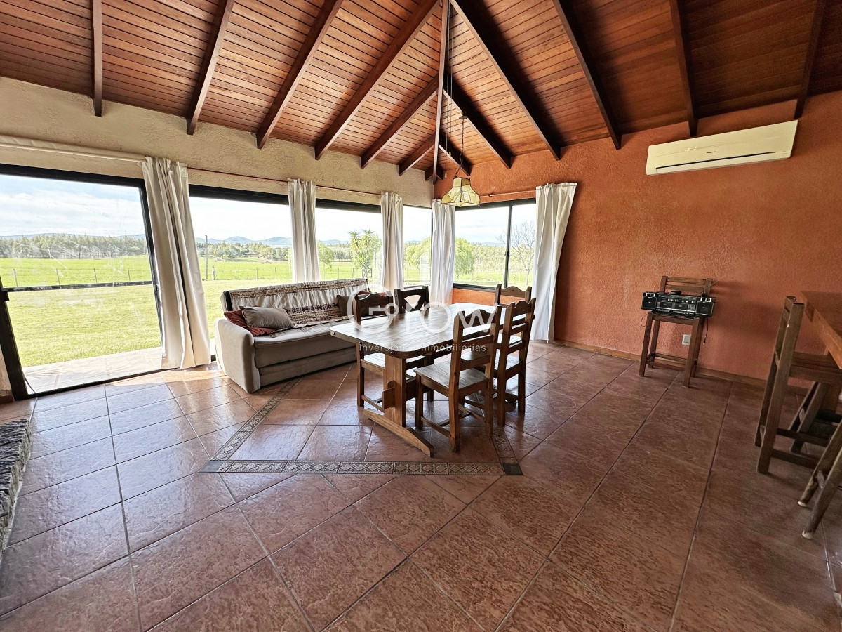 Campo Ref.567 - Olivar sobre la Ruta 8 de Minas