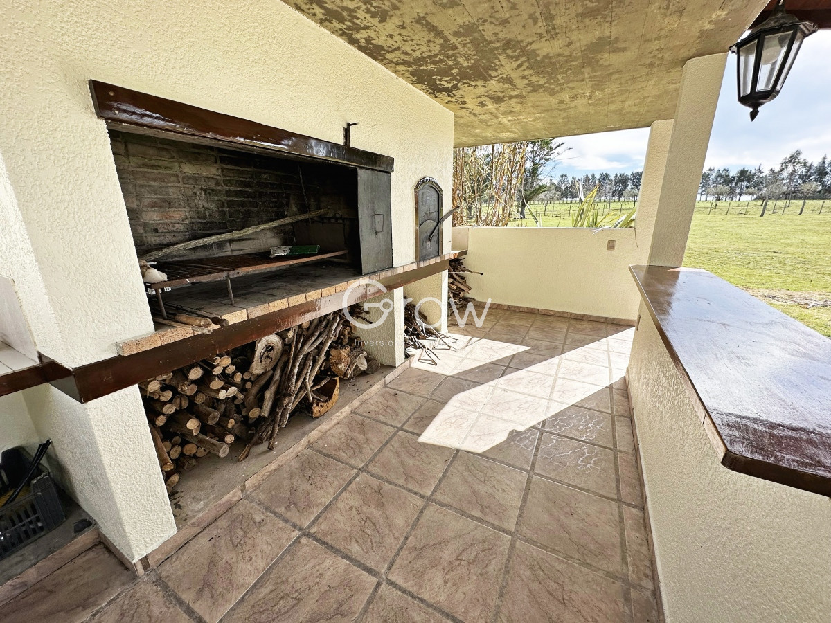 Campo Ref.567 - Olivar sobre la Ruta 8 de Minas