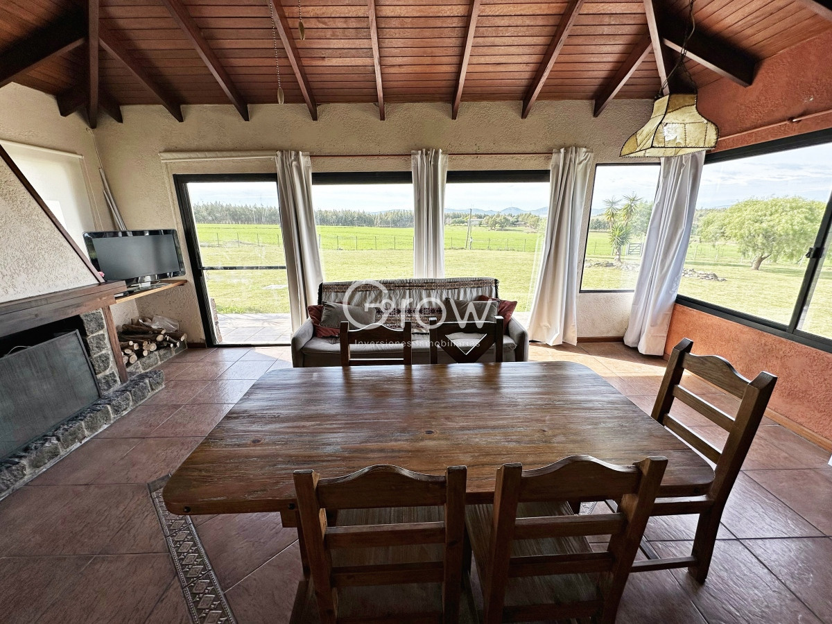 Campo Ref.567 - Olivar sobre la Ruta 8 de Minas