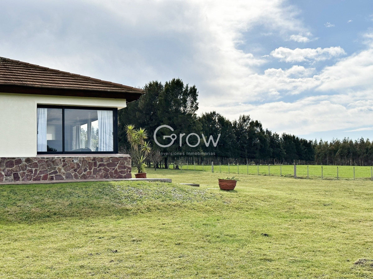 Campo Ref.567 - Olivar sobre la Ruta 8 de Minas