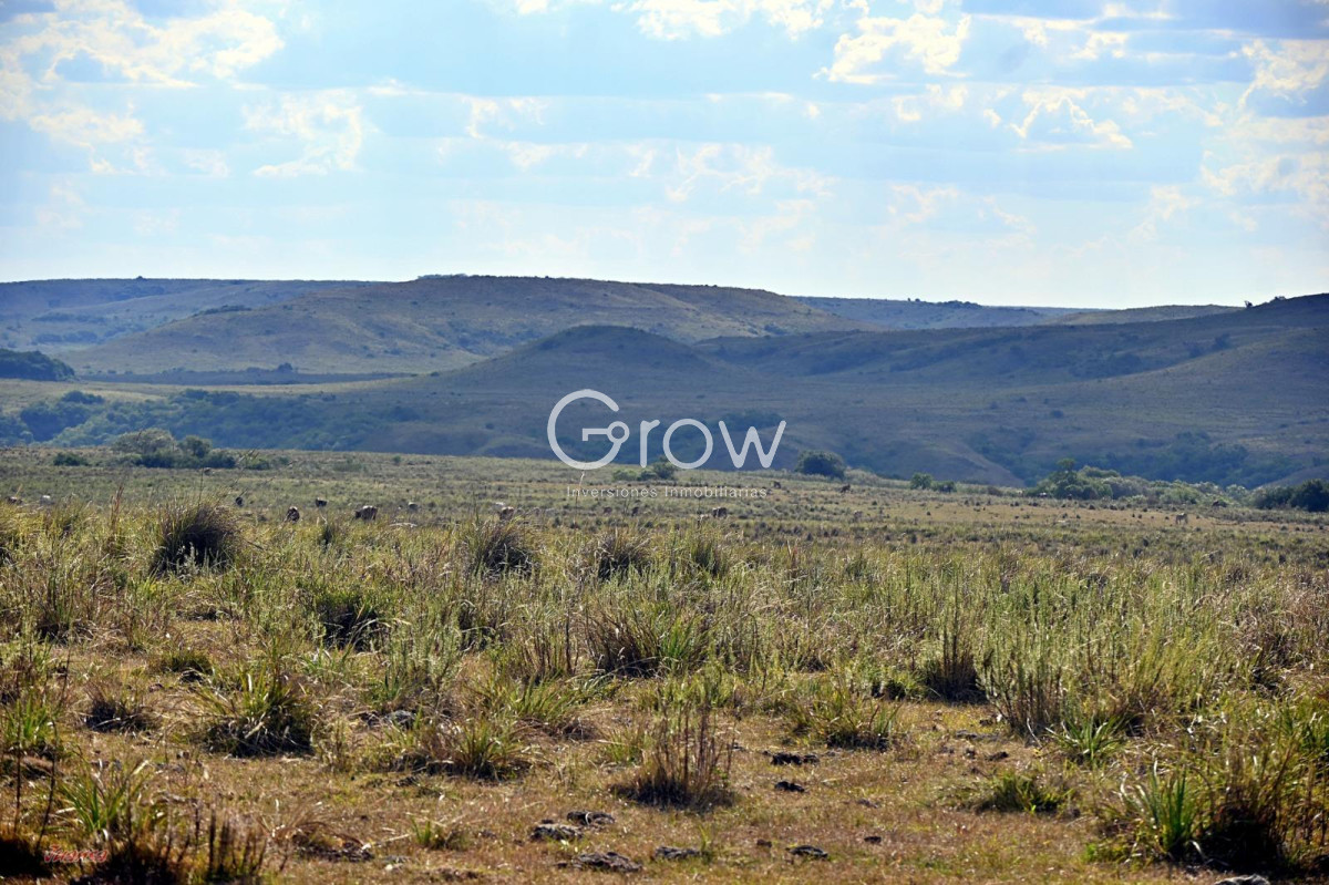 Campo Ref.2052 - Gran campo ganadero en Tacuarembó!