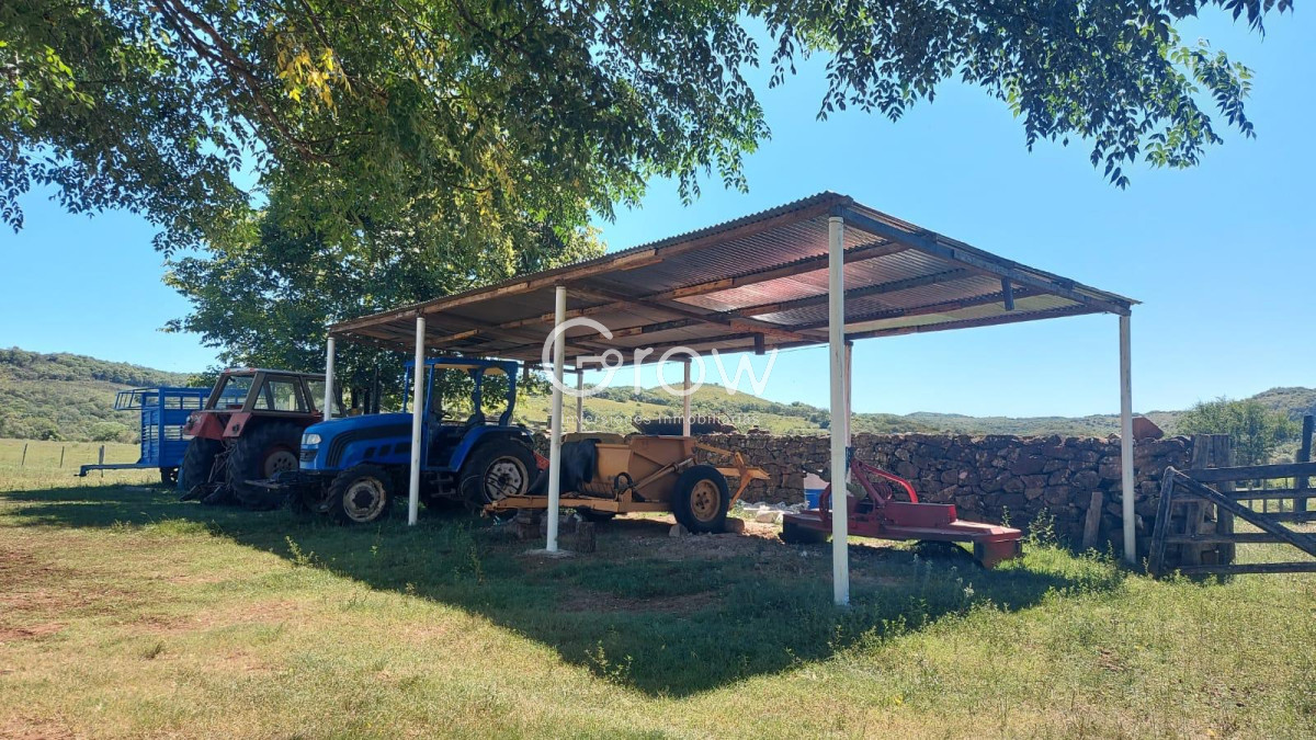 Campo Ref.2052 - Gran campo ganadero en Tacuarembó!