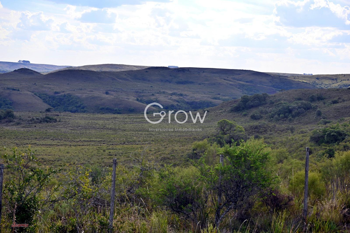 Campo Ref.2052 - Gran campo ganadero en Tacuarembó!