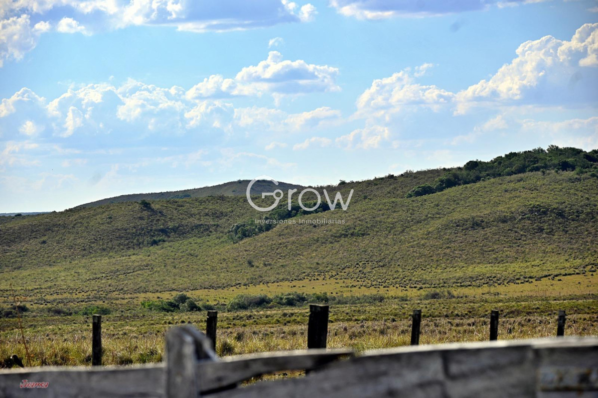 Campo Ref.2052 - Gran campo ganadero en Tacuarembó!