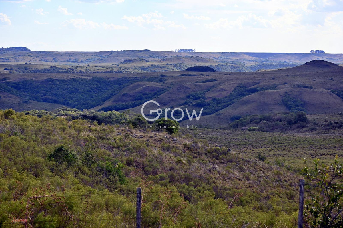 Campo Ref.2052 - Gran campo ganadero en Tacuarembó!