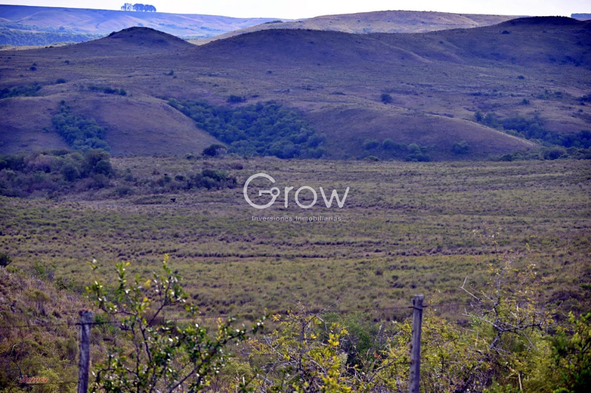 Campo Ref.2052 - Gran campo ganadero en Tacuarembó!