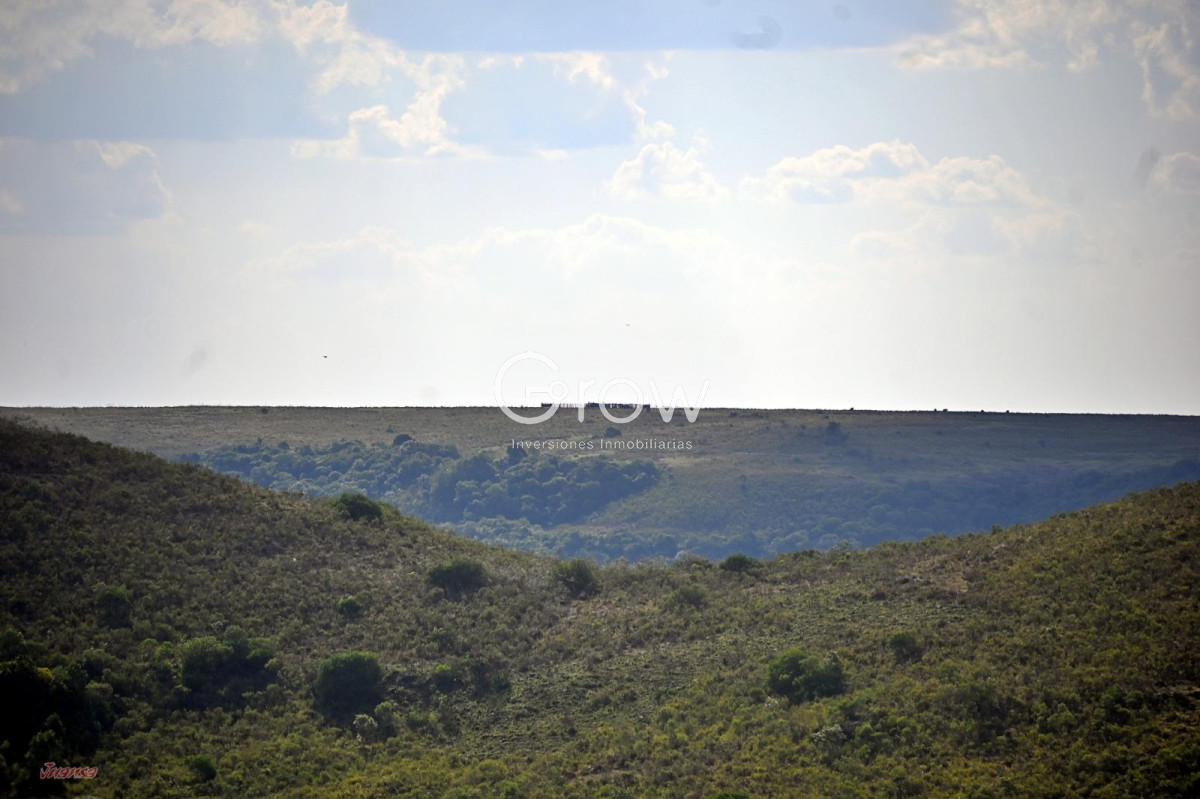 Campo Ref.2052 - Gran campo ganadero en Tacuarembó!