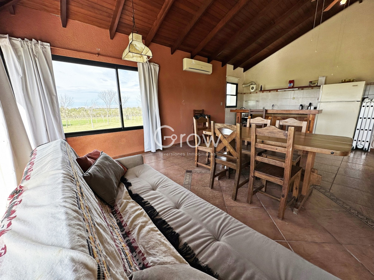 Olivar sobre la Ruta 8 de Minas - GoPunta - Portal Inmobiliario de Punta del Este - Maldonado