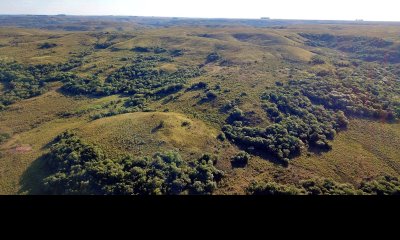 Gran campo ganadero en Tacuarembó!