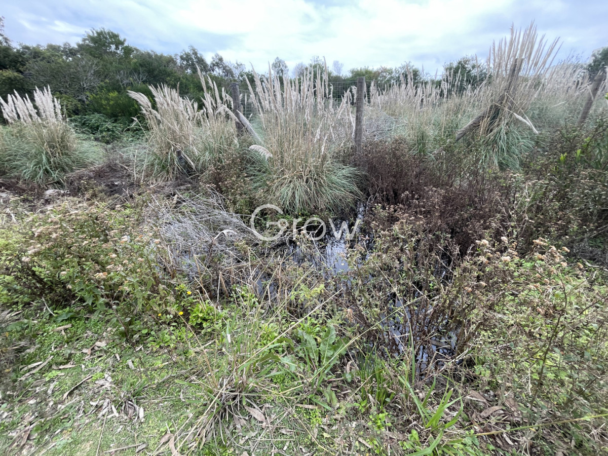 Terreno ID.140 - Terreno a 100 metros del mar en Punta Rubia