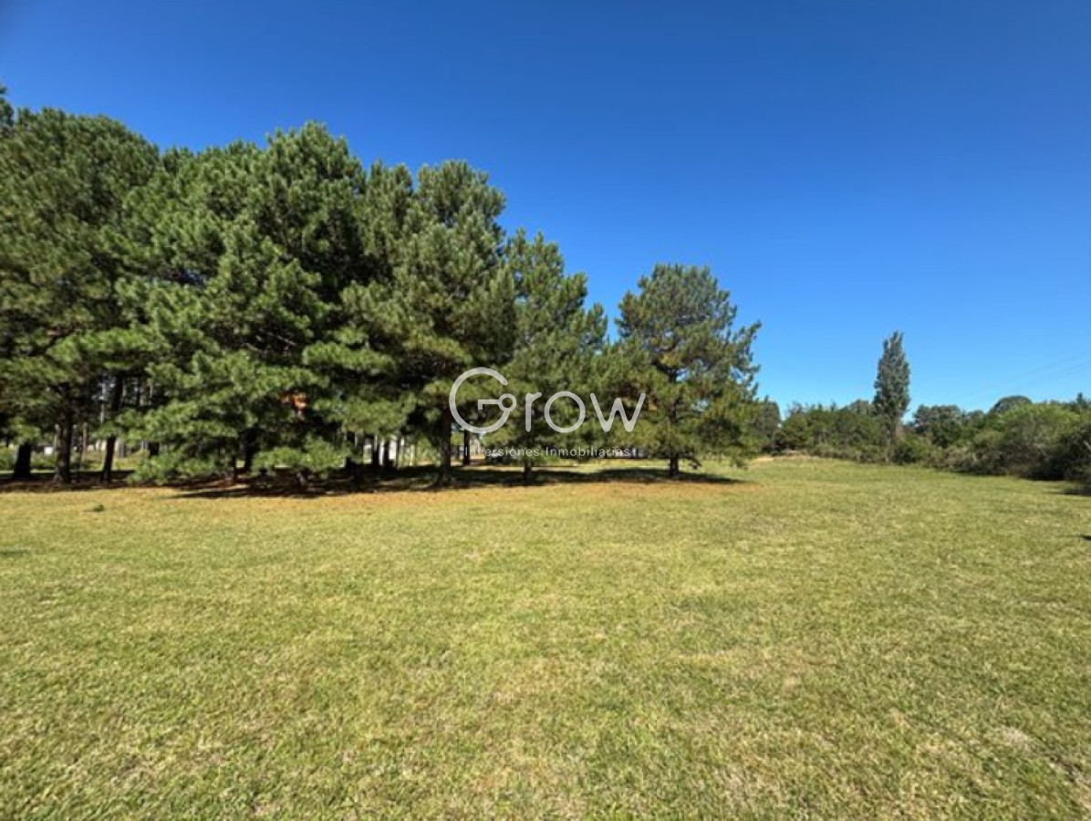 Chacras del Pinar - GoPunta - Portal Inmobiliario de Punta del Este - Maldonado