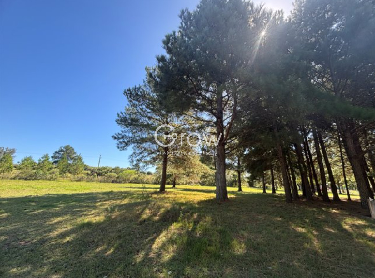 Chacras del Pinar - GoPunta - Portal Inmobiliario de Punta del Este - Maldonado