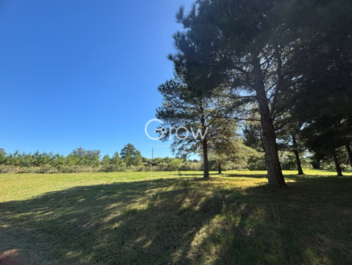 Chacras del Pinar - GoPunta - Portal Inmobiliario de Punta del Este - Maldonado