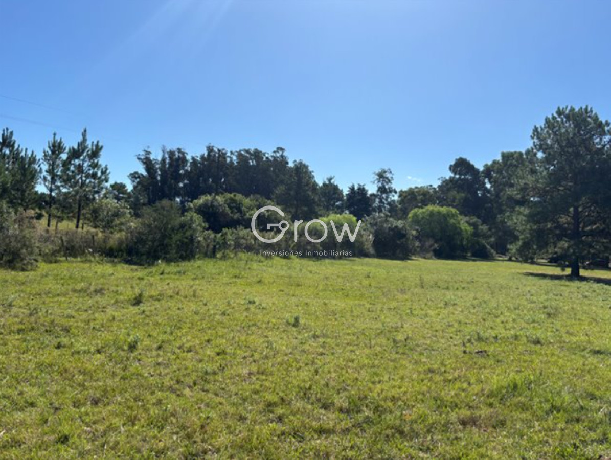 Chacras del Pinar - GoPunta - Portal Inmobiliario de Punta del Este - Maldonado