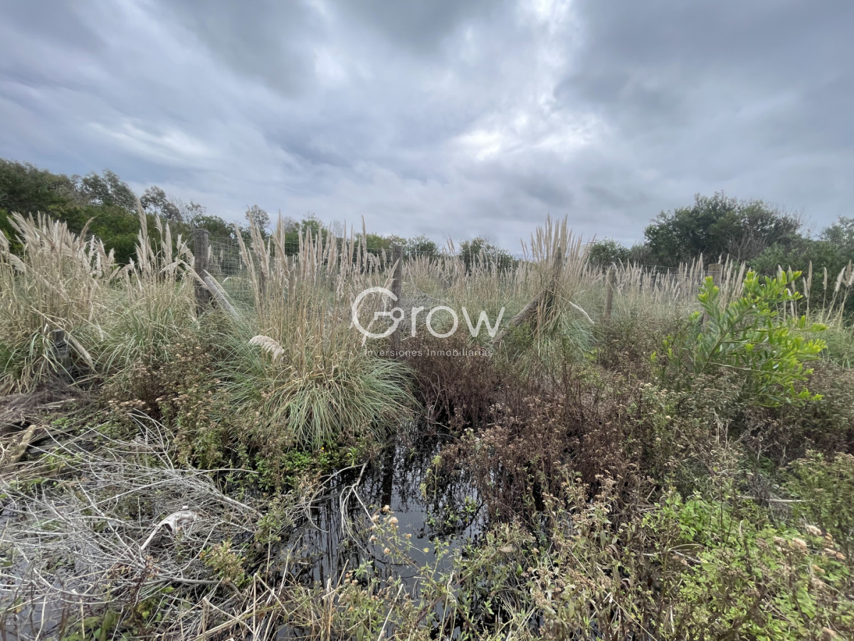 Terreno ID.140 - Terreno a 100 metros del mar en Punta Rubia
