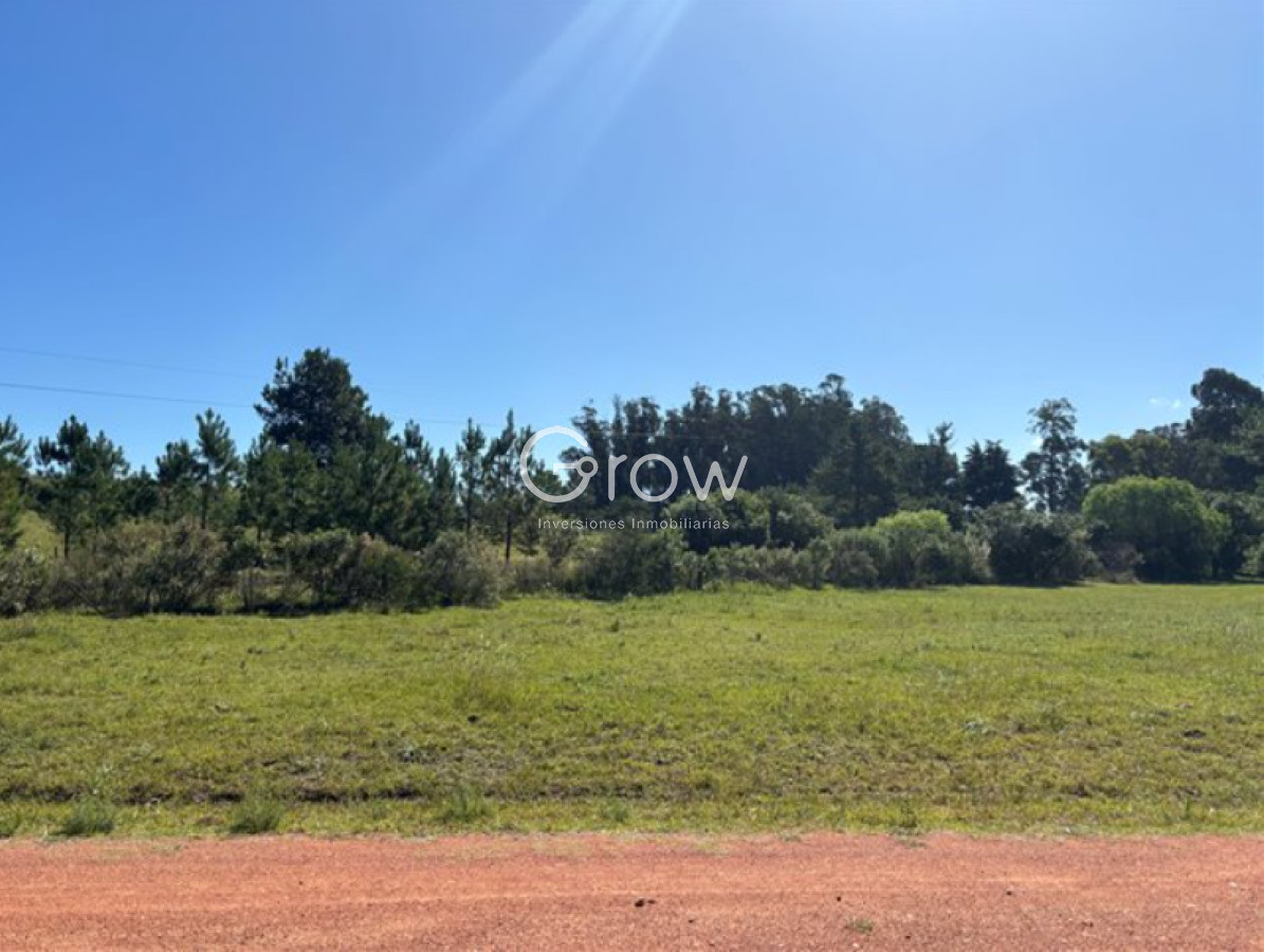 Chacras del Pinar - GoPunta - Portal Inmobiliario de Punta del Este - Maldonado