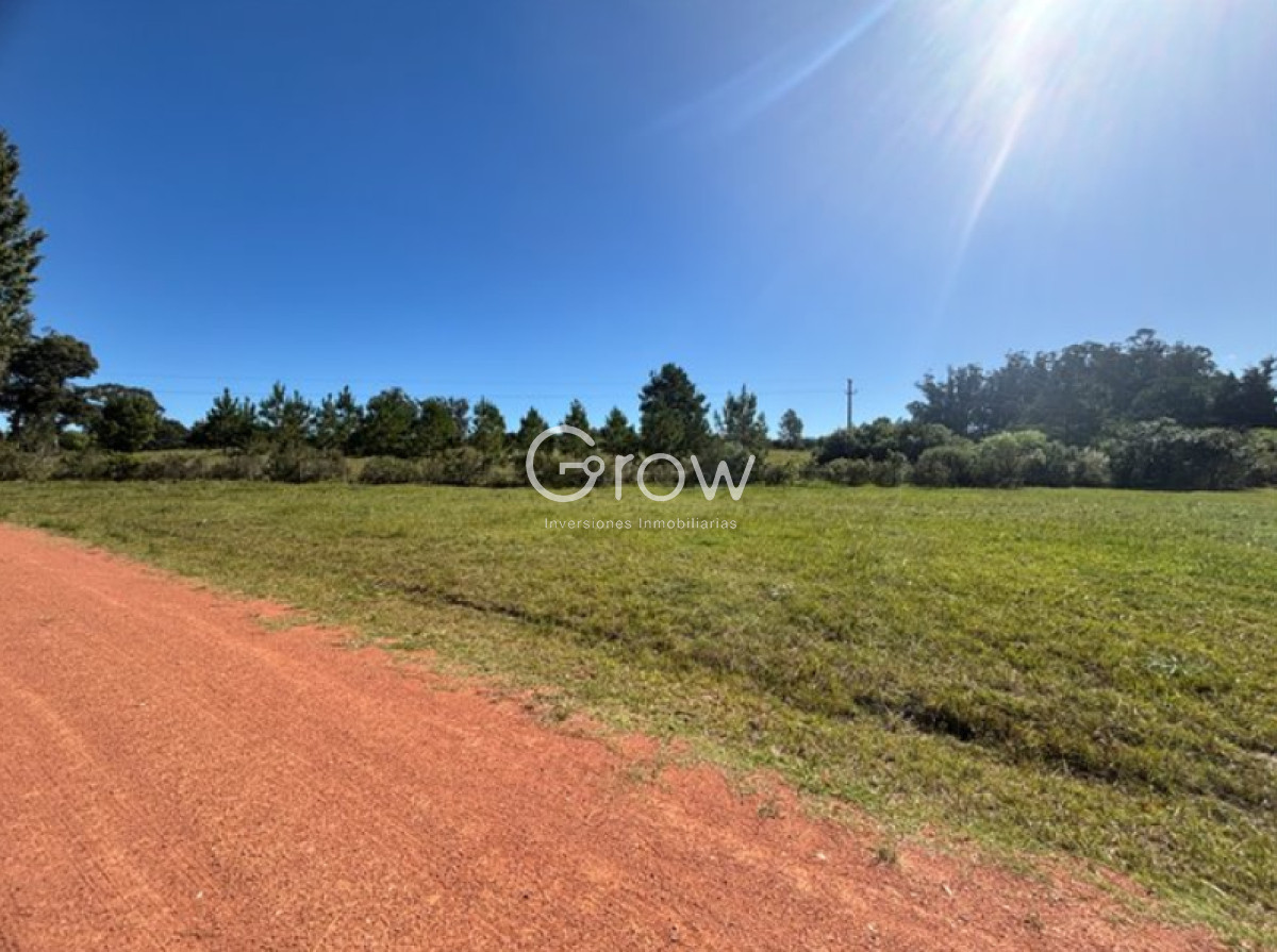 Chacras del Pinar - GoPunta - Portal Inmobiliario de Punta del Este - Maldonado