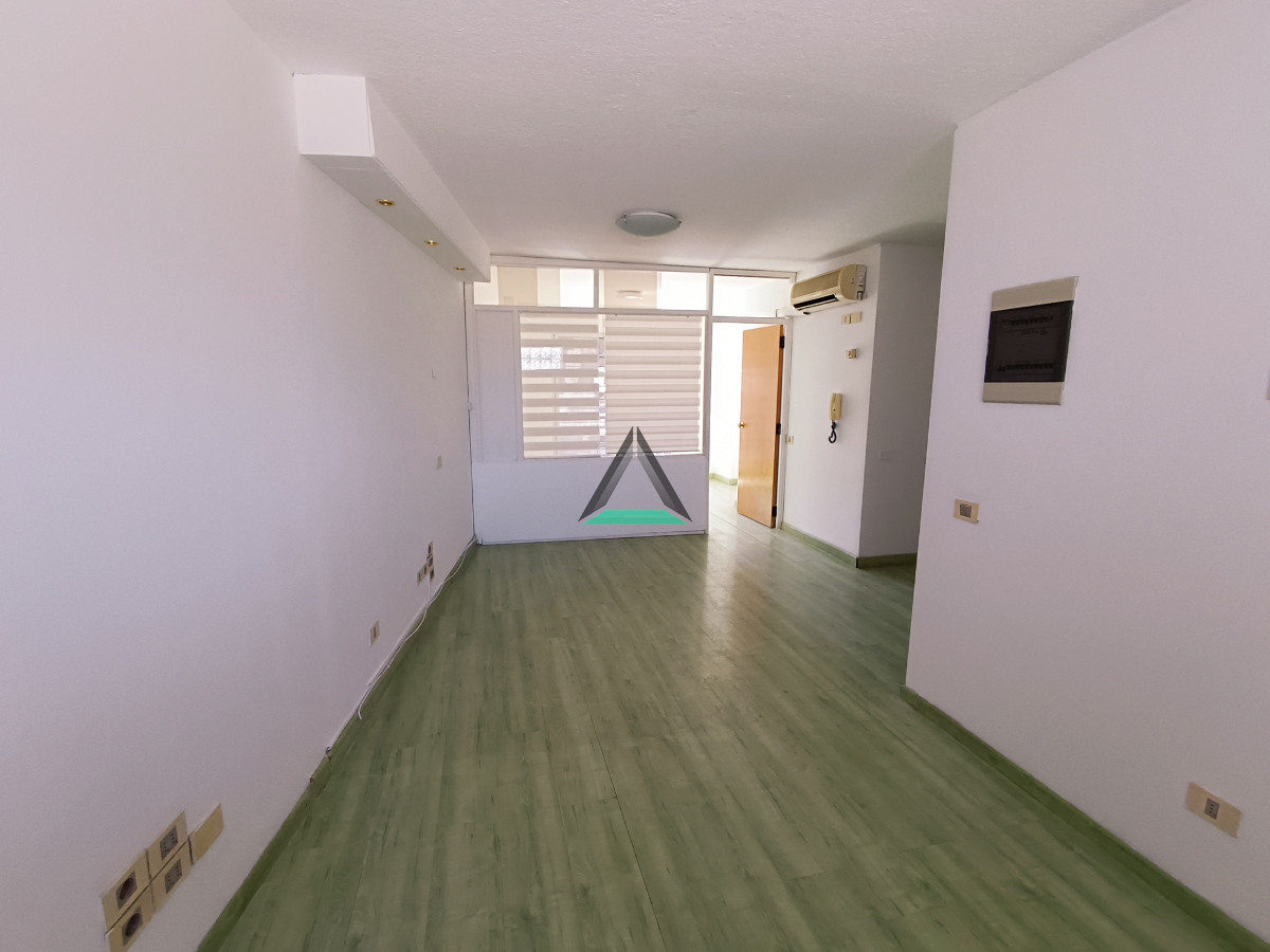 Apartamento ID.110 - ALQUILER MONOAMBIENTE 35 MTS.2 CON DIVISION DE DORMITORIO PUNTA CARRETAS 