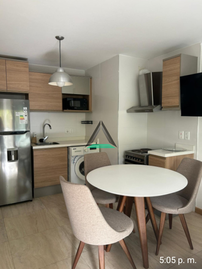 Apartamento ID.144 - ALQUILER APARTAMENTO MONOAMBIENTE PUNTA CARRETAS TERRAZA GRANDE TODO NUEVO!