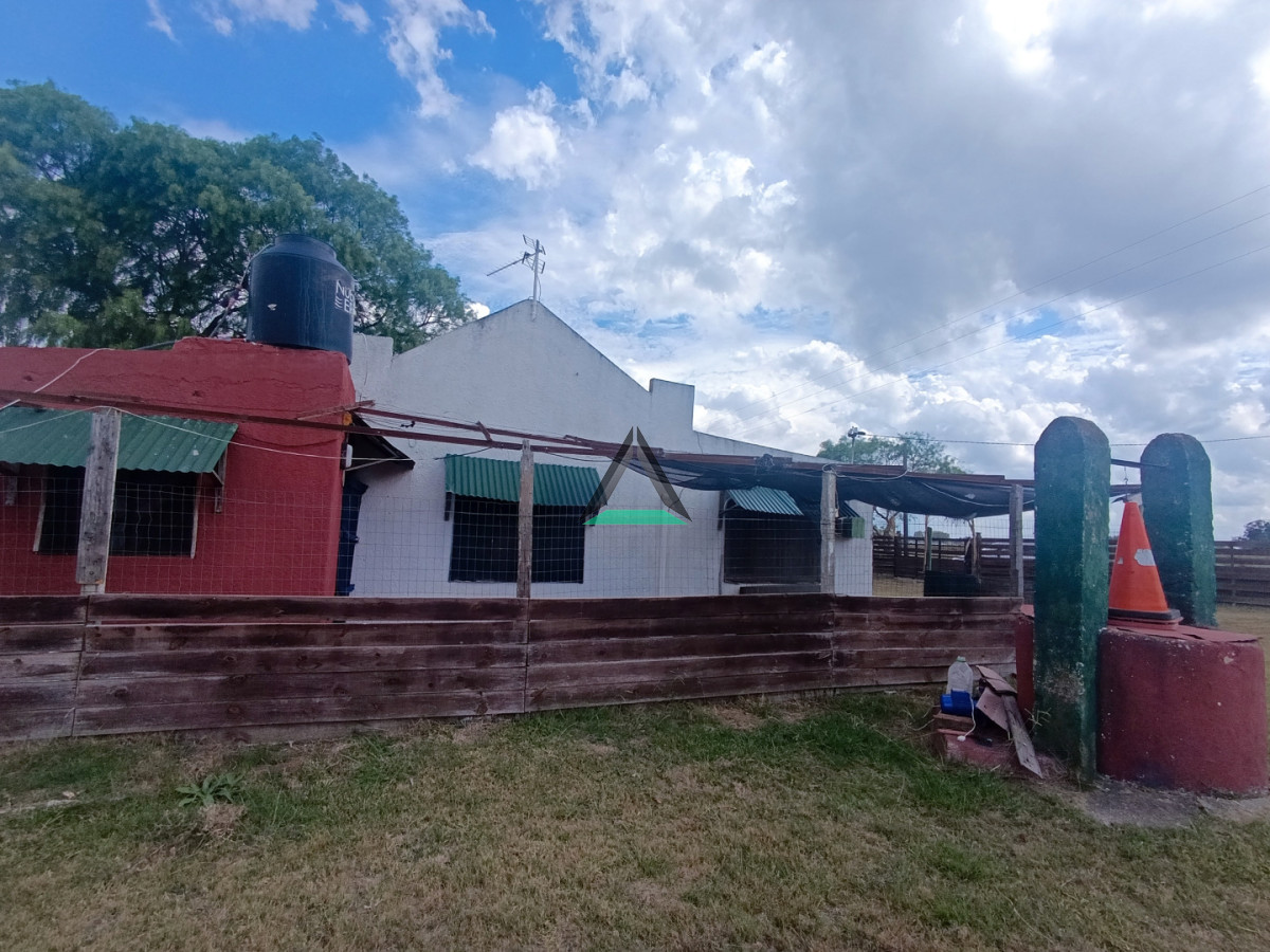 Chacra ID.139 - VENTA CHACRA CANELONES SAUCE 4 HA