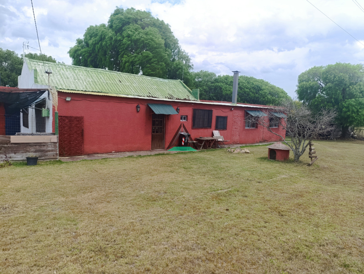 Chacra ID.139 - VENTA CHACRA CANELONES SAUCE 4 HA