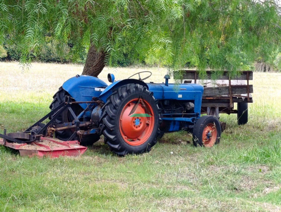 Chacra ID.139 - VENTA CHACRA CANELONES SAUCE 4 HA