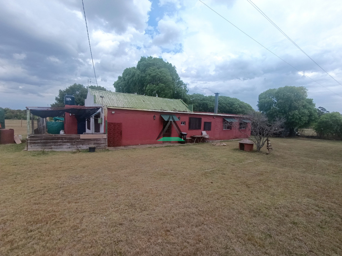 Chacra ID.139 - VENTA CHACRA CANELONES SAUCE 4 HA