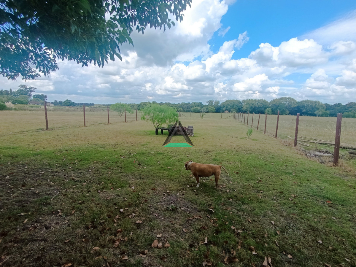 Chacra ID.139 - VENTA CHACRA CANELONES SAUCE 4 HA