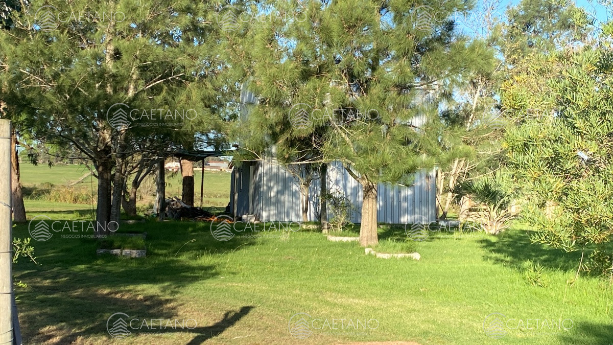 Ruta 39 - GoPunta - Portal Inmobiliario de Punta del Este - Maldonado