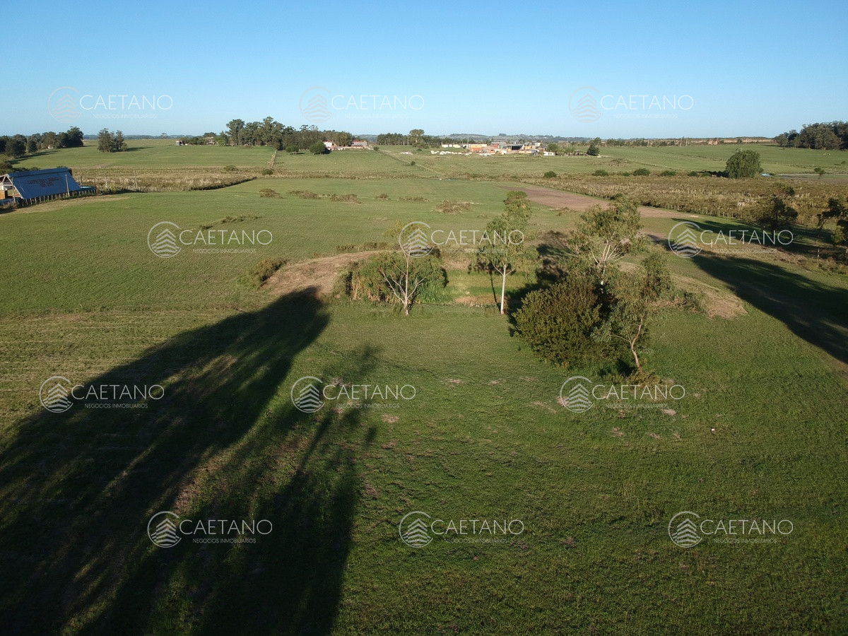 Ruta 39 - GoPunta - Portal Inmobiliario de Punta del Este - Maldonado