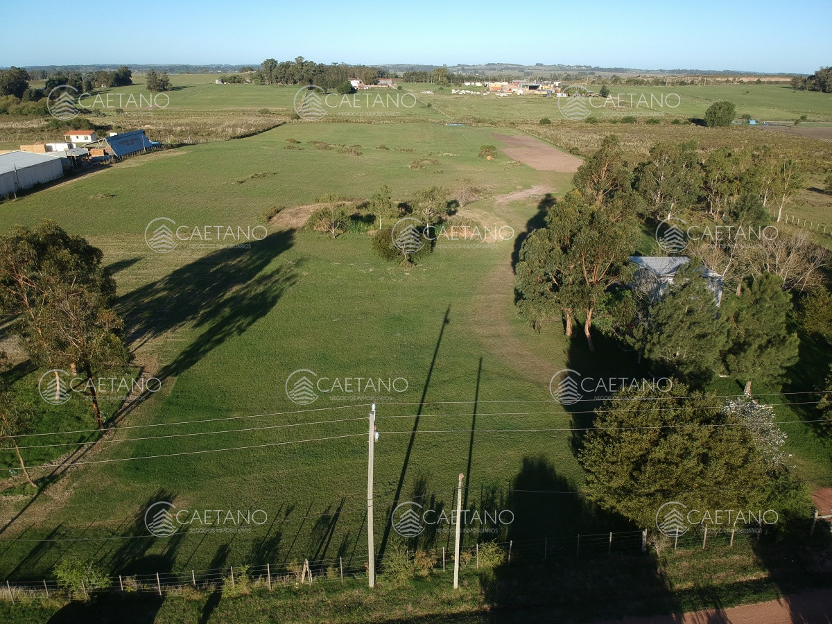 Ruta 39 - GoPunta - Portal Inmobiliario de Punta del Este - Maldonado