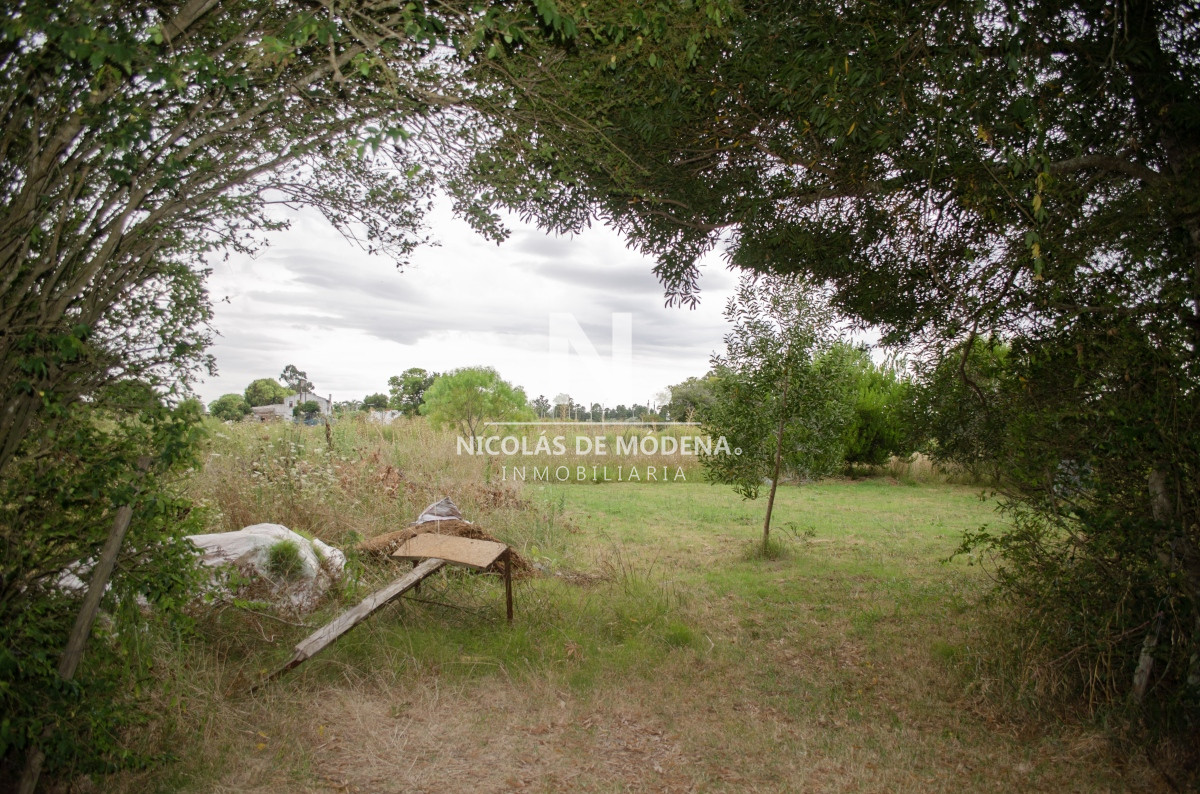Chacra