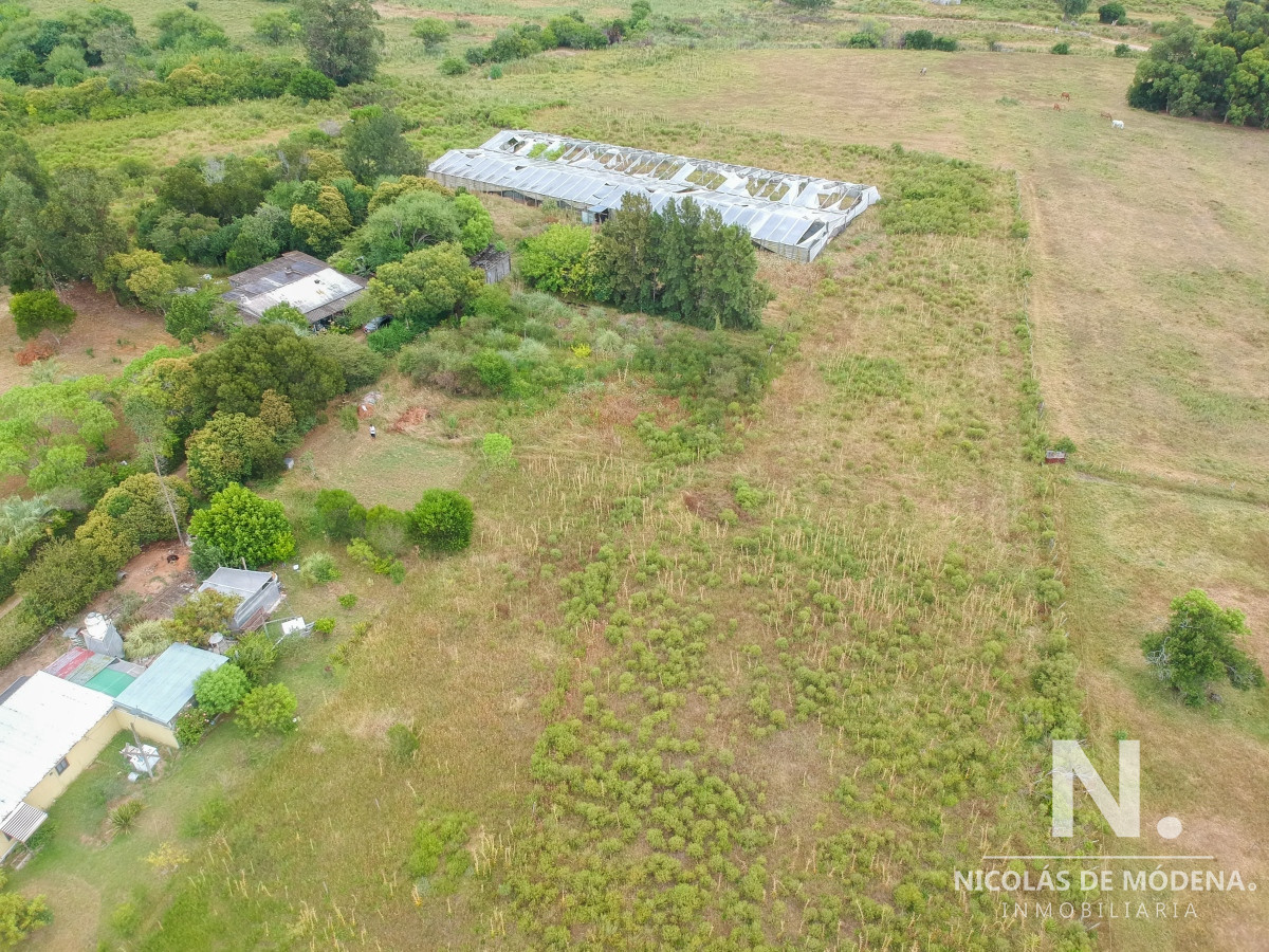 San Carlos - GoPunta - Portal Inmobiliario de Punta del Este - Maldonado