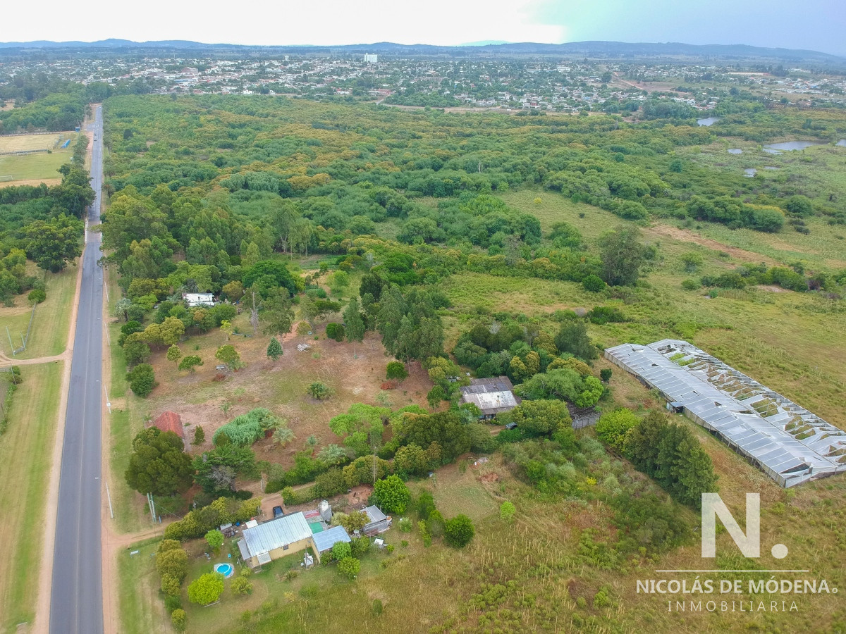 San Carlos - GoPunta - Portal Inmobiliario de Punta del Este - Maldonado