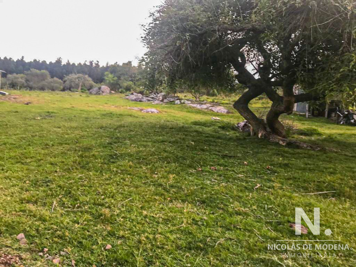Hermosa finca en Sierras de Garzon. - GoPunta - Portal Inmobiliario de Punta del Este - Maldonado