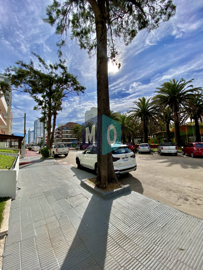 Apartamento ID.564 - Apartamento - Plaza de los Artesanos