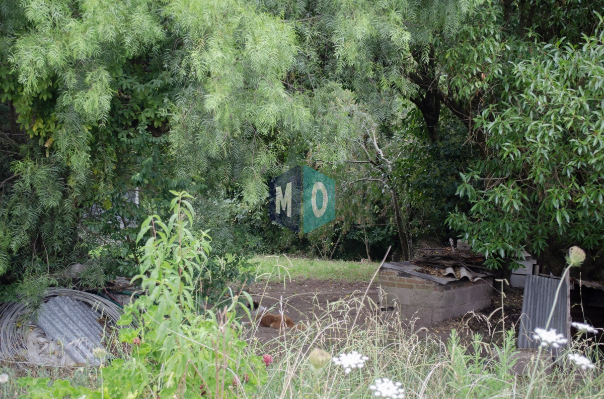 Chacra ID.597 - Chacra en San Carlos - Imperdible