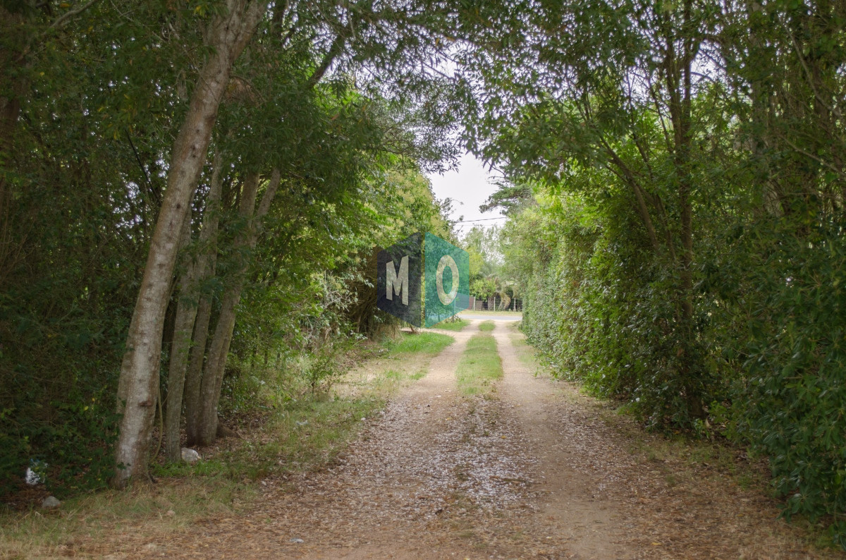 Chacra ID.597 - Chacra en San Carlos - Imperdible