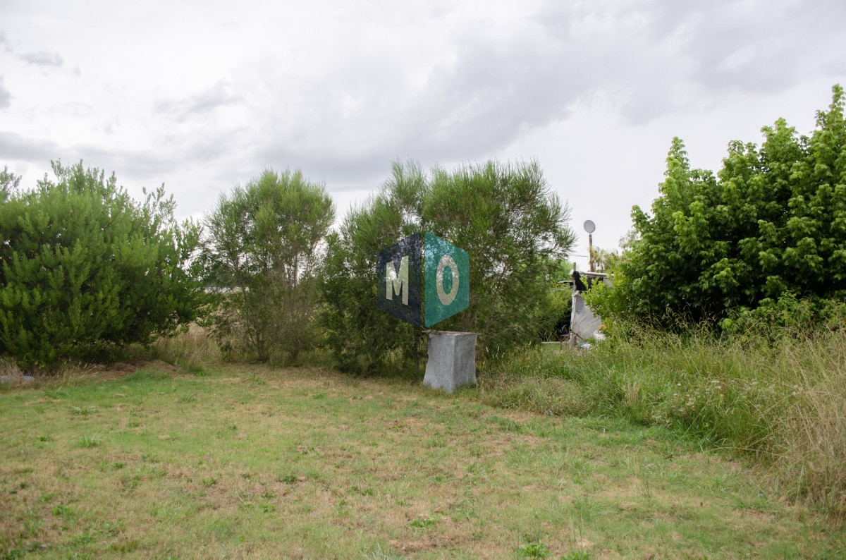 Chacra ID.597 - Chacra en San Carlos - Imperdible