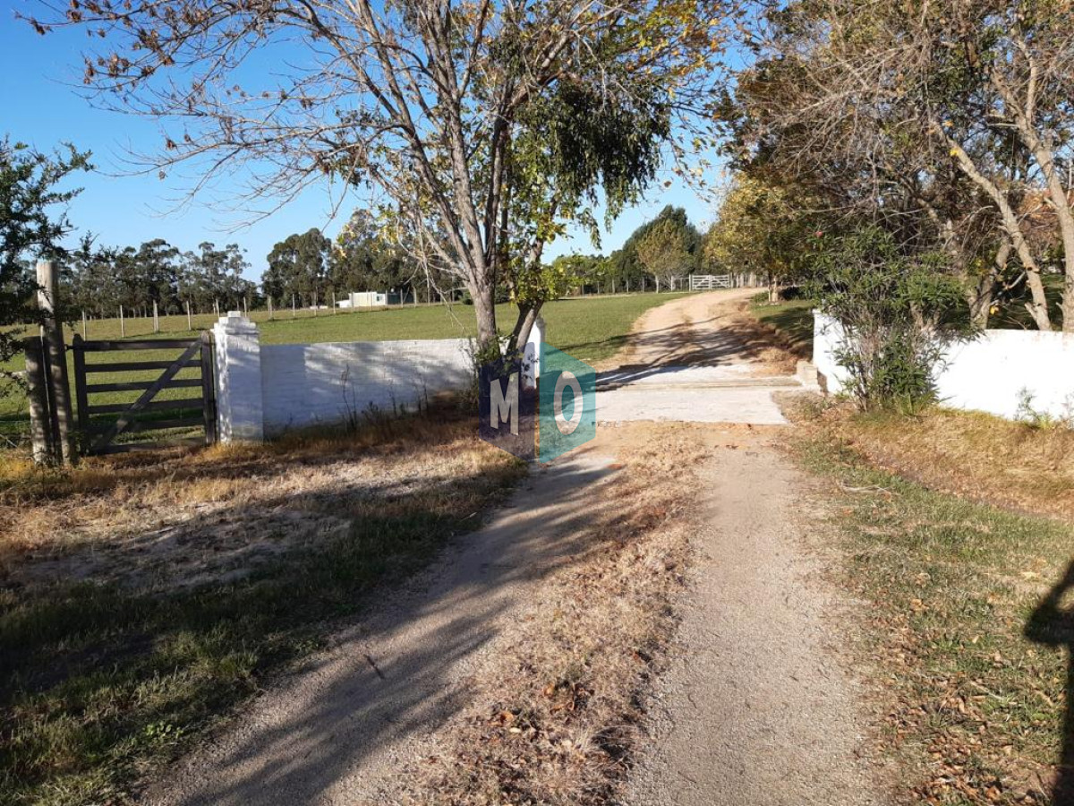 Chacra ID.345 - Oportunidad!! Chacra en venta 400m2, Maldonado