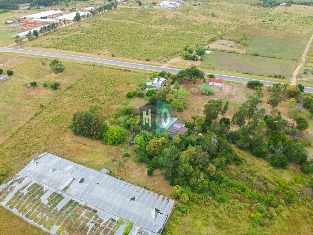 Chacra ID.597 - Chacra en San Carlos - Imperdible