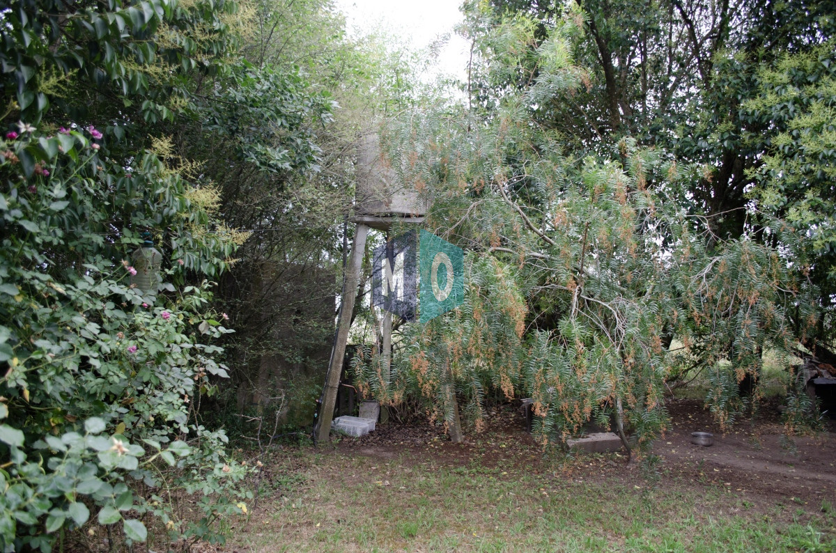 Chacra ID.597 - Chacra en San Carlos - Imperdible