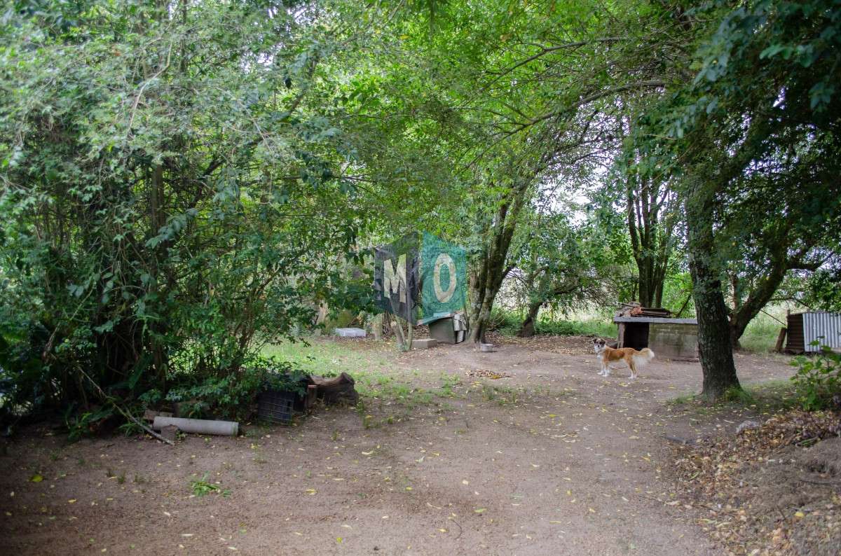 Chacra ID.597 - Chacra en San Carlos - Imperdible
