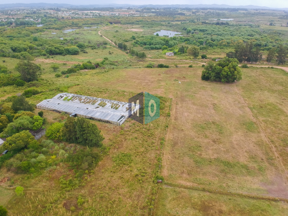 Chacra ID.597 - Chacra en San Carlos - Imperdible