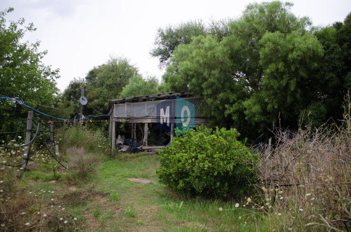 Chacra ID.597 - Chacra en San Carlos - Imperdible