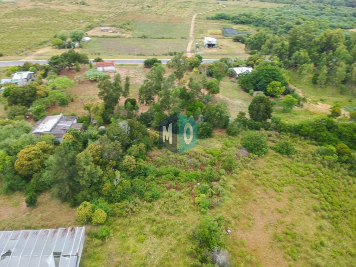 Chacra ID.597 - Chacra en San Carlos - Imperdible